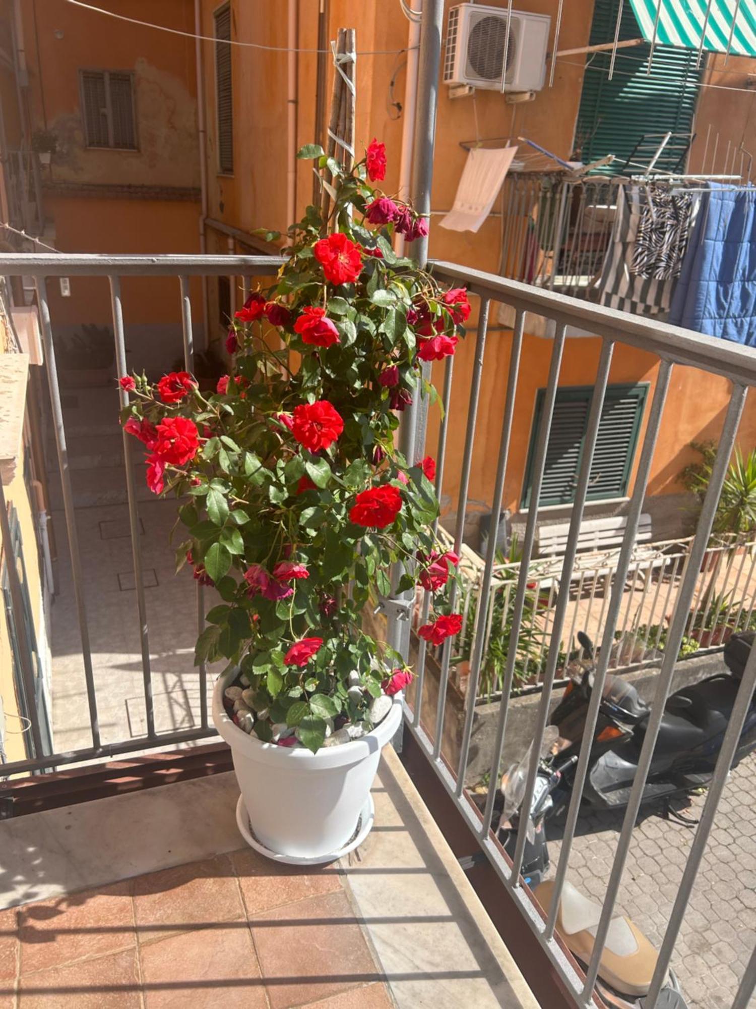 Apartmán Sissi House Salerno Exteriér fotografie