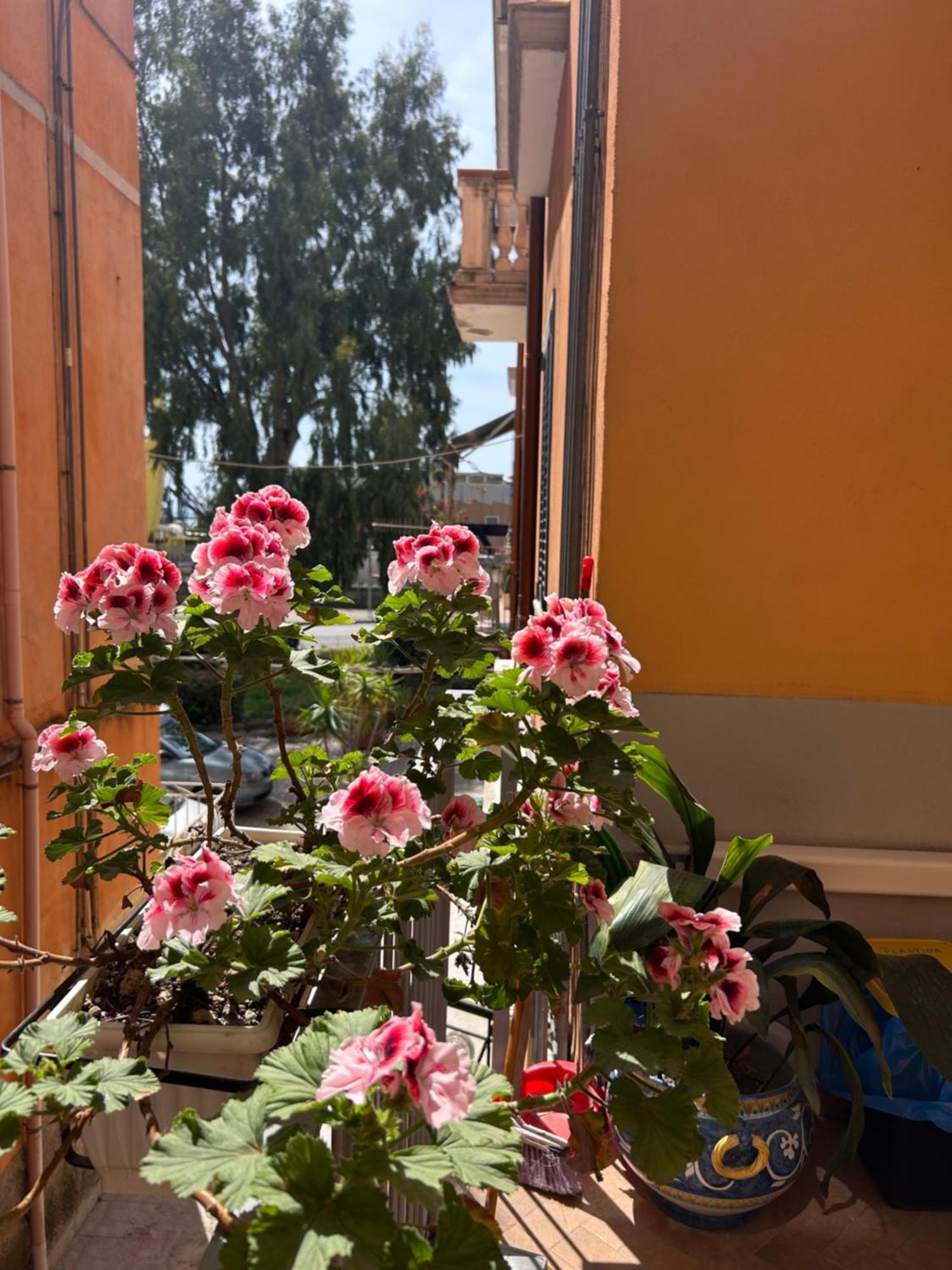 Apartmán Sissi House Salerno Exteriér fotografie